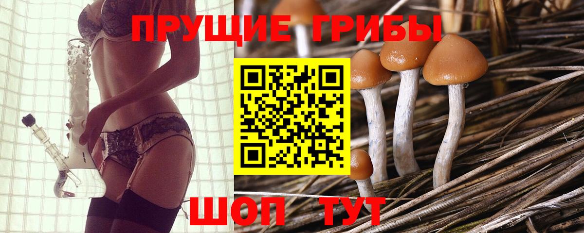 наркотики  Псилоцибиновые грибы Magic Shrooms  Вход с VPN  Керчь 