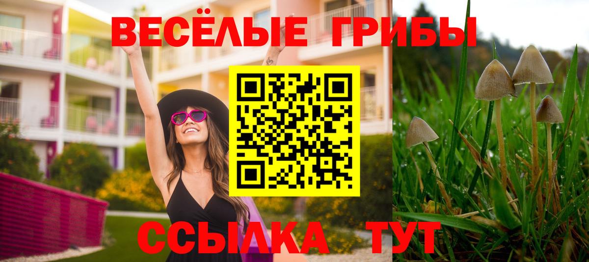 Галлюциногенные грибы Magic Shrooms Керчь